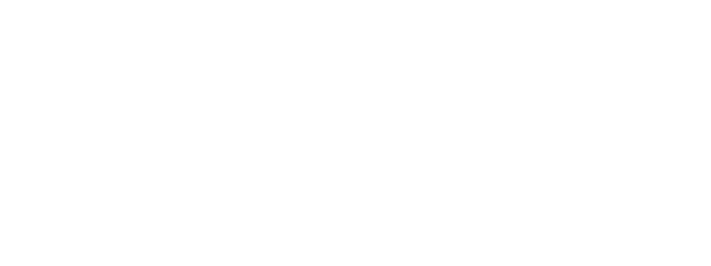 Antojos Mexican Grill